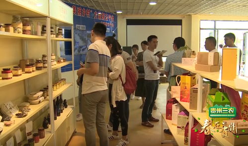 數(shù)說貴州 數(shù)字鄉(xiāng)村的貴州實(shí)踐，智慧生活織就智富夢